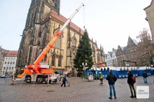 Der große Kran der Berufsfeuerwehr Münster richtete am Morgen die Weihnachtstanne auf dem Lambertikirchplatz auf. (Foto: Michael Bührke)