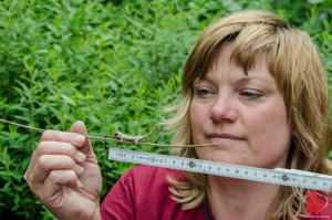 Tierpflegerin Kristina Theobald mit einem ihrer neuen Schützlinge. (Foto: th)