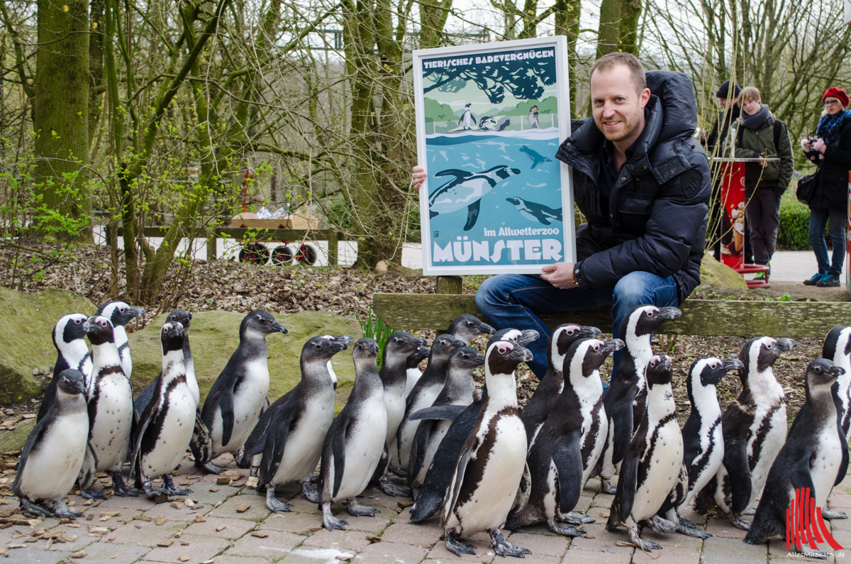 Im Allwetterzoo staunen auch die Pinguine nicht schlecht über das neue Plakat von Künstler Lars Wentrup. (Foto: th)